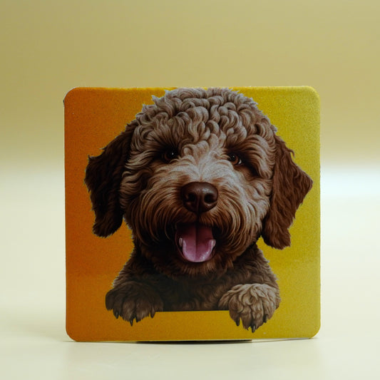 Magnet Lagotto Romagniolo